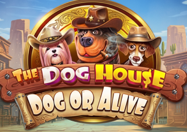 game of The Dog House – Dog or Alive